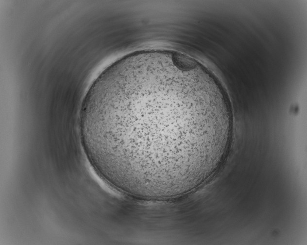 X0000115261429200911201655