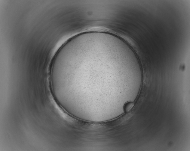 X0000115261430200911201655