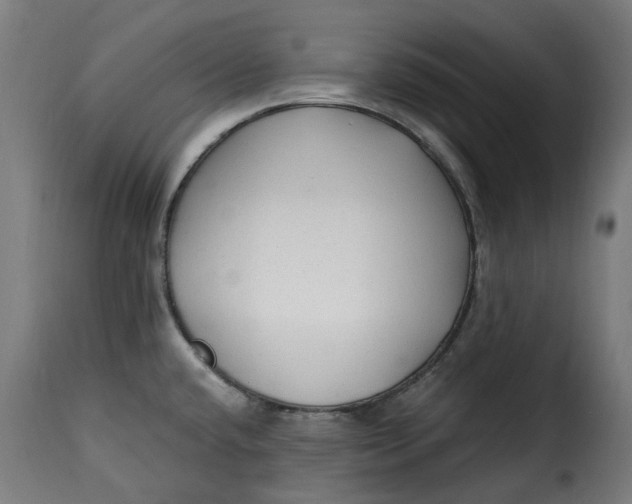X0000115261432200911201655