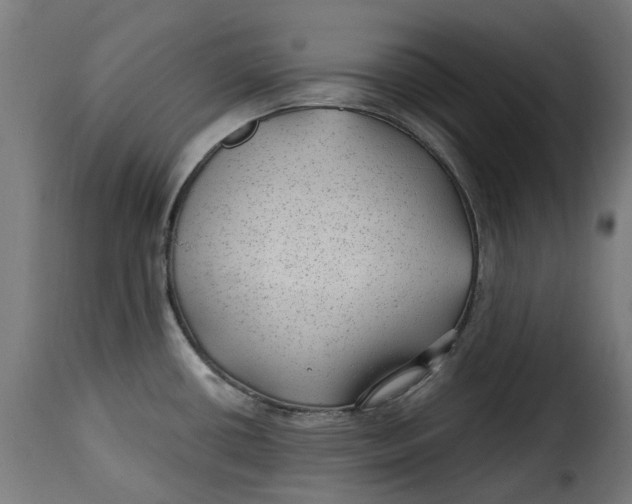 X0000115261434200911201655