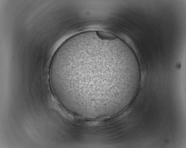 X0000115261435200911201655