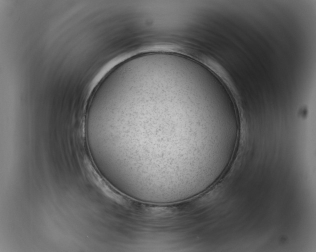 X0000115261436200911201655