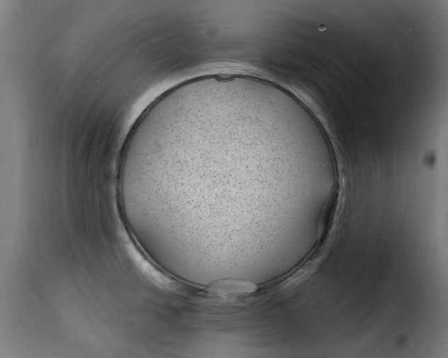 X0000115261438200911201655