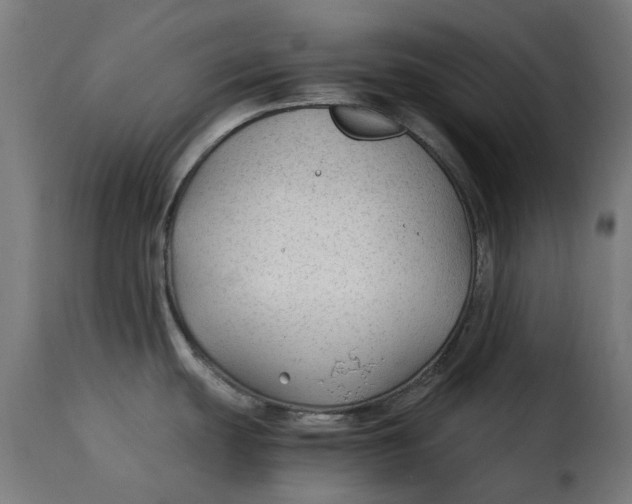X0000115261439200911201655