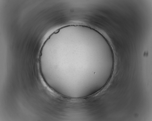 X0000115261440200911201655
