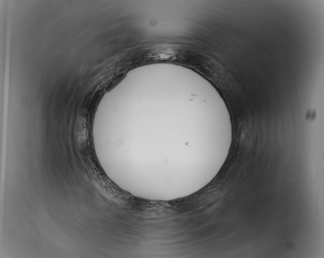 X0000115261442200911201654