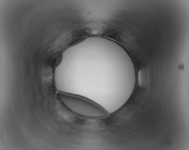 X0000115261443200911201654
