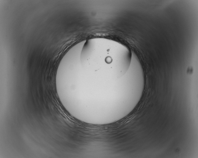 X0000115261444200911201654