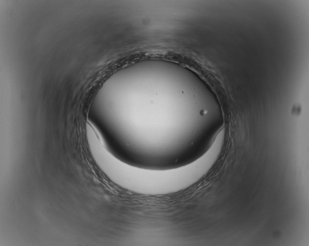 X0000115261445200911201654