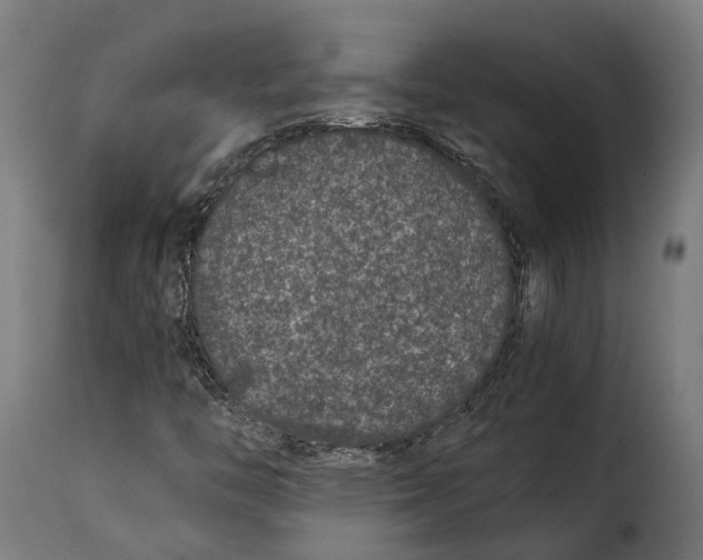X0000115261446200911201654
