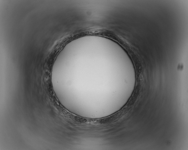 X0000115261447200911201654