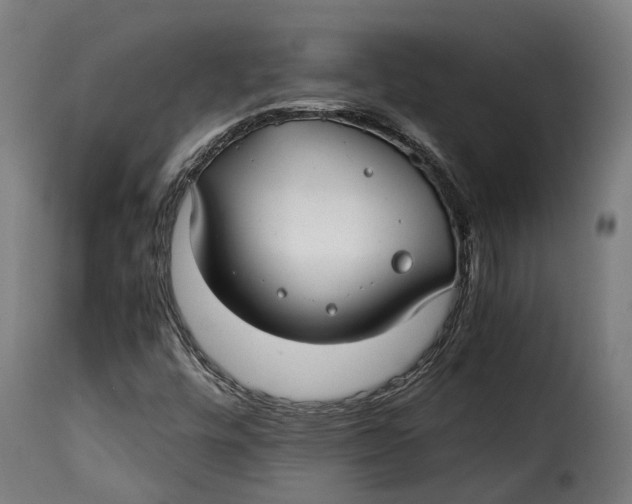 X0000115261448200911201654