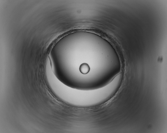 X0000115261449200911201654