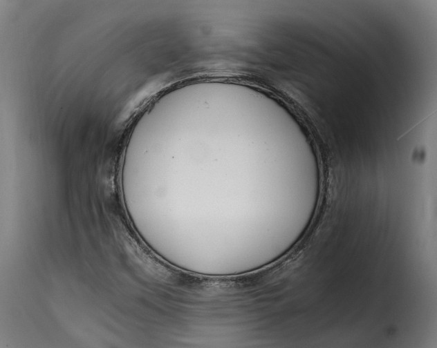 X0000115261451200911201654