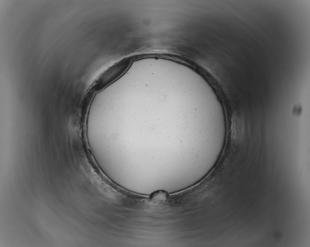 X0000115261452200911201654