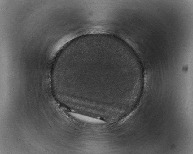 X0000115261453200911201654