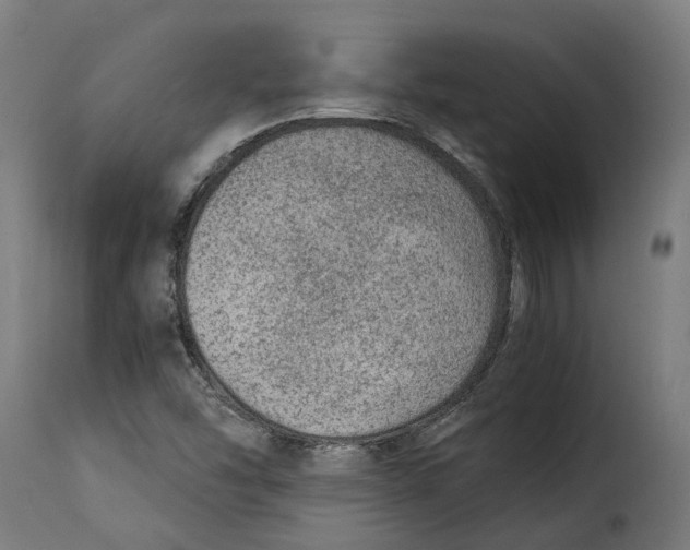 X0000115261454200911201654