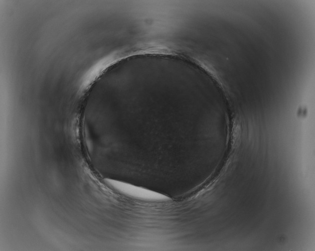 X0000115261455200911201654