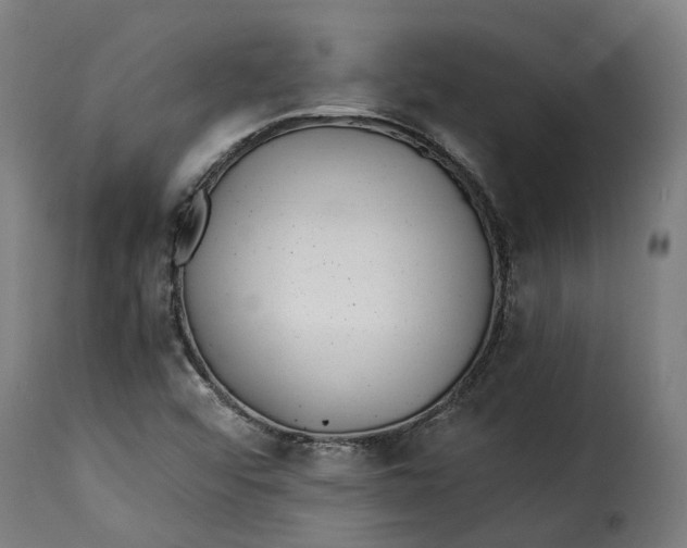X0000115261456200911201654