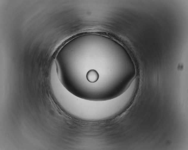 X0000115261457200911201654