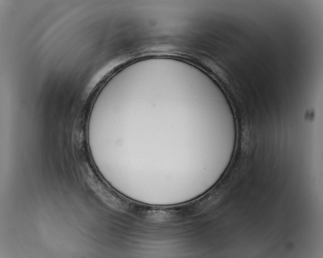 X0000115261458200911201654