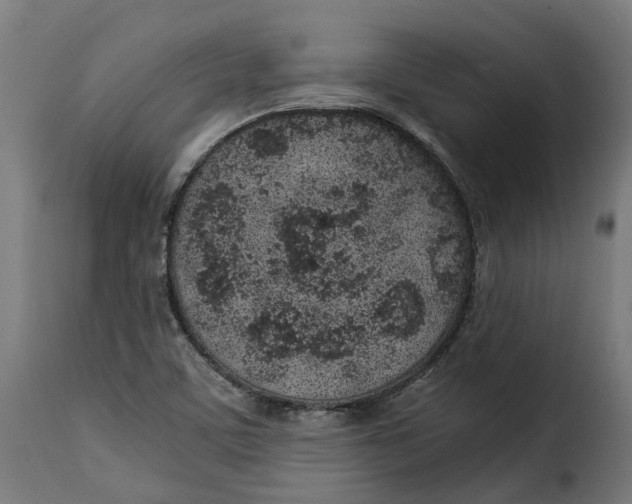 X0000115261459200911201654