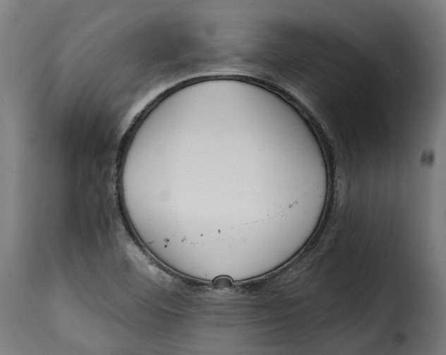 X0000115261460200911201654