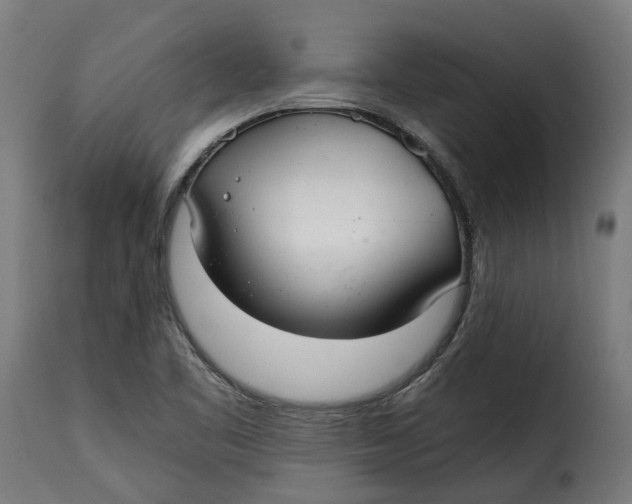 X0000115261461200911201654