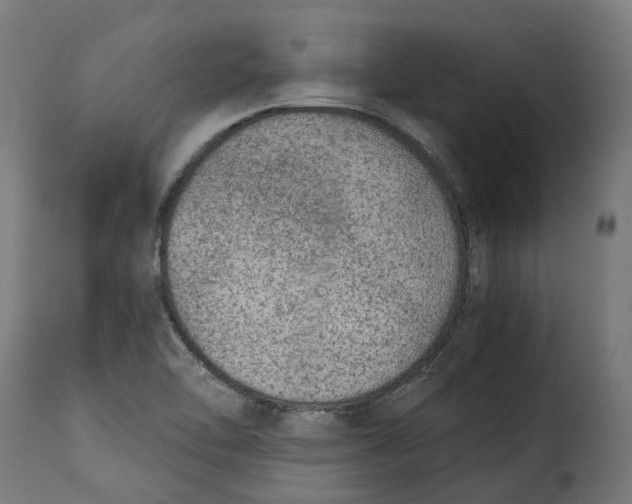 X0000115261462200911201654