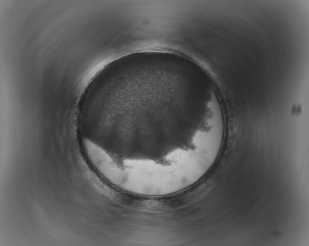 X0000115261463200911201654