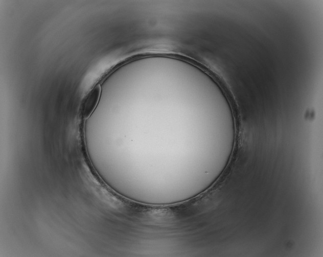 X0000115261464200911201654