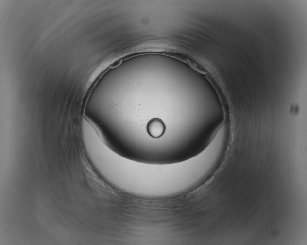 X0000115261465200911201654