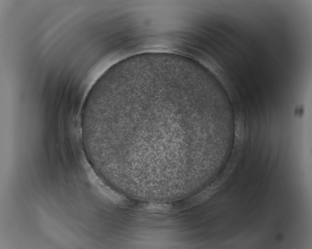X0000115261466200911201654