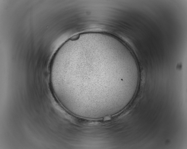X0000115261467200911201654