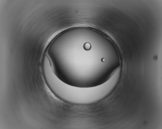 X0000115261468200911201654