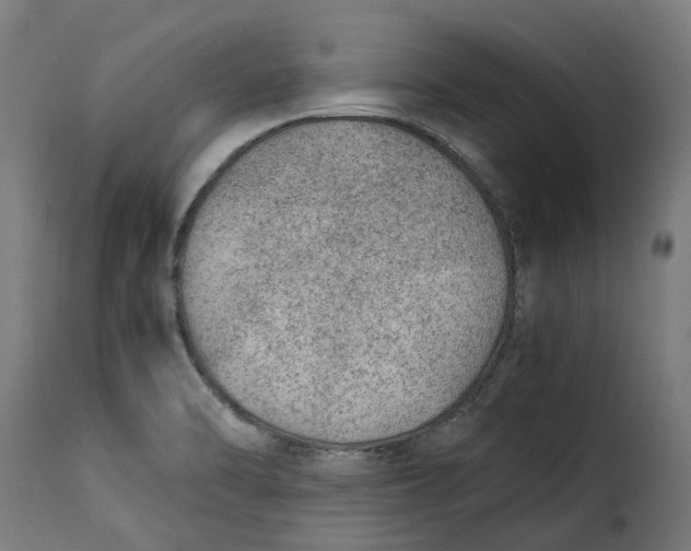 X0000115261470200911201654