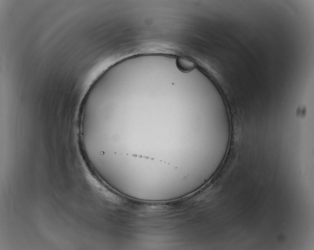 X0000115261471200911201654