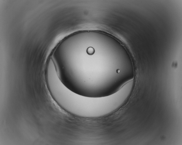 X0000115261472200911201654