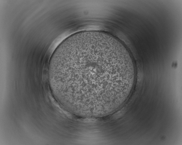X0000115261473200911201654