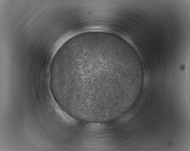 X0000115261474200911201654