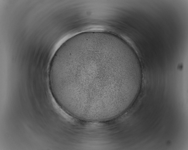 X0000115261475200911201654