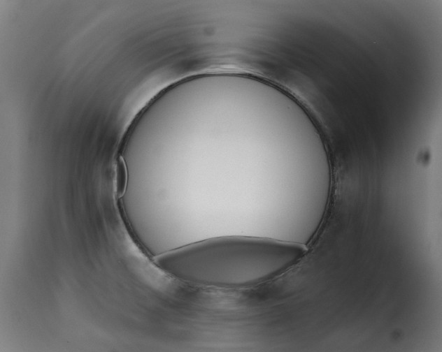 X0000115261476200911201654