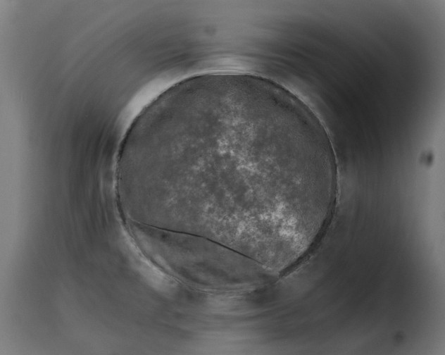 X0000115261477200911201654