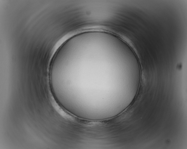 X0000115261482200911201654