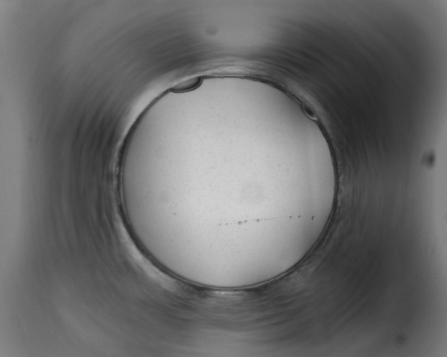 X0000115261483200911201654