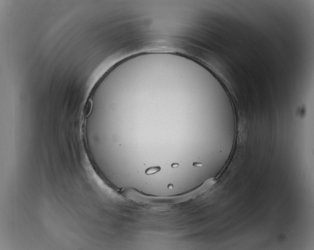 X0000115261484200911201654