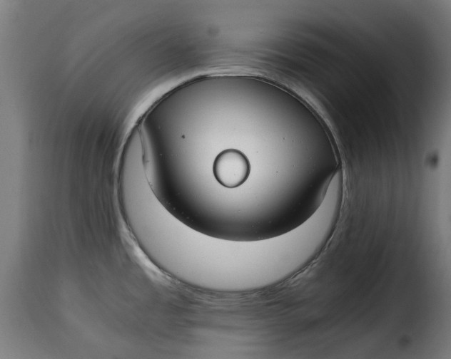 X0000115261485200911201654