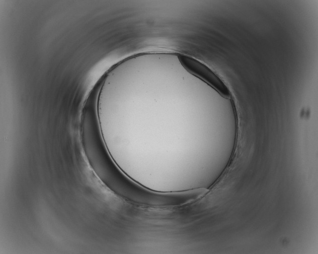 X0000115261488200911201654