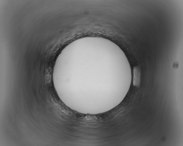 X0000115261491200911201653