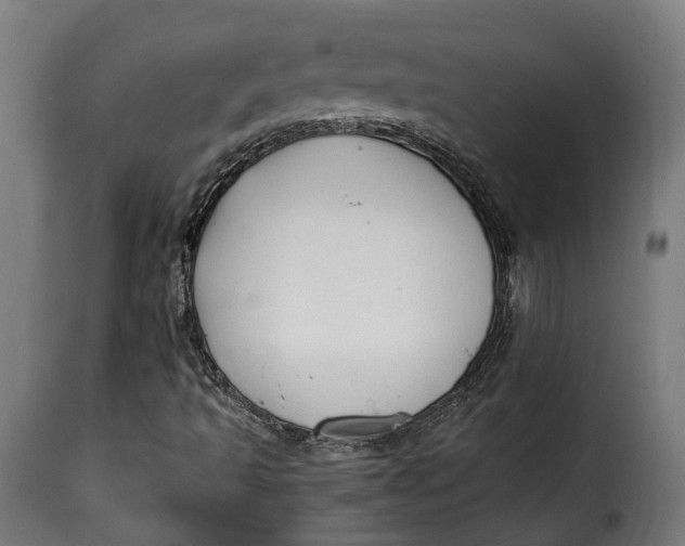 X0000115261493200911201653